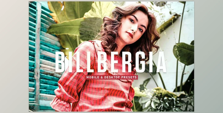 Download Billbergia Pro Lightroom Presets CreativeMarket - 6925580