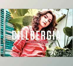 Download Billbergia Pro Lightroom Presets CreativeMarket - 6925580