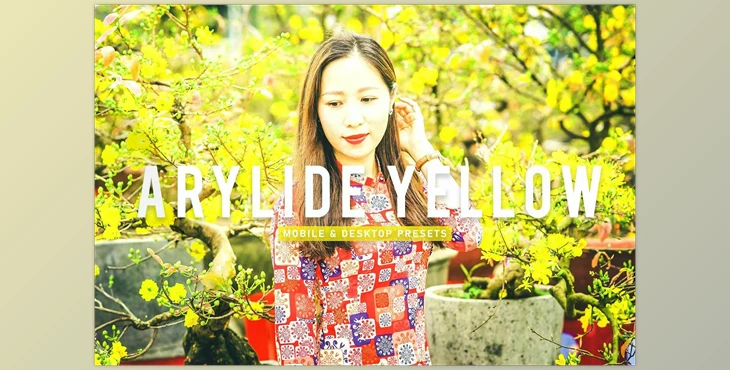 Download Arylide Yellow Pro Lightroom Presets CreativeMarket - 6926766