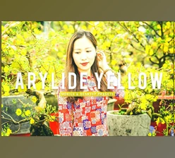 Download Arylide Yellow Pro Lightroom Presets CreativeMarket - 6926766