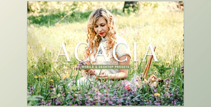 Download Acacia Pro Lightroom Presets CreativeMarket - 6925557