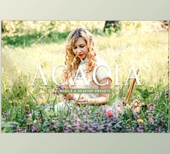 Download Acacia Pro Lightroom Presets CreativeMarket - 6925557