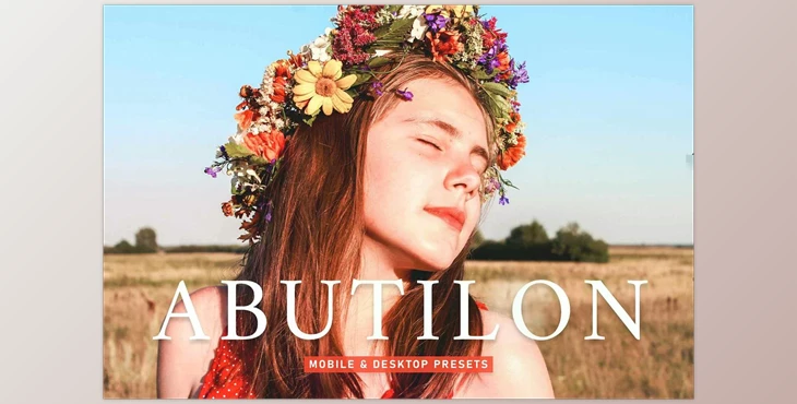Download Abutilon Pro Lightroom Presets CreativeMarket - 6925550