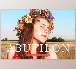 Download Abutilon Pro Lightroom Presets CreativeMarket - 6925550