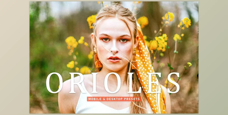 Download Orioles Pro Lightroom Presets CreativeMarket - 6924892