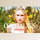 Download Orioles Pro Lightroom Presets CreativeMarket - 6924892