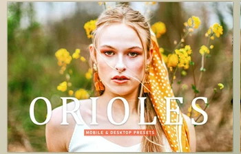 Download Orioles Pro <span class='badge badge-warning'>Lightroom</span> <span class='badge badge-warning'>Presets</span> CreativeMarket - 6924892