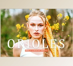 Download Orioles Pro Lightroom Presets CreativeMarket - 6924892