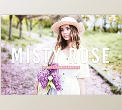 Download Misty Rose Pro Lightroom Presets V2 CreativeMarket - 6924890