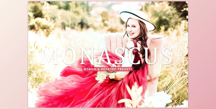 Download Monascus Pro Lightroom Presets CreativeMarket - 6924891