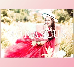 Download Monascus Pro Lightroom Presets CreativeMarket - 6924891