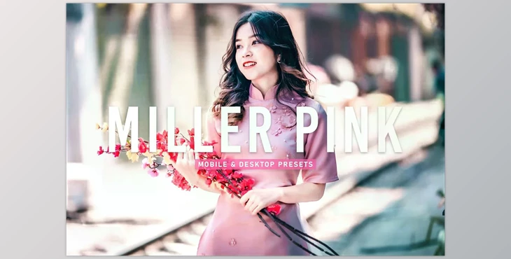 Download Miller Pink Pro Lightroom Presets CreativeMarket - 6924889