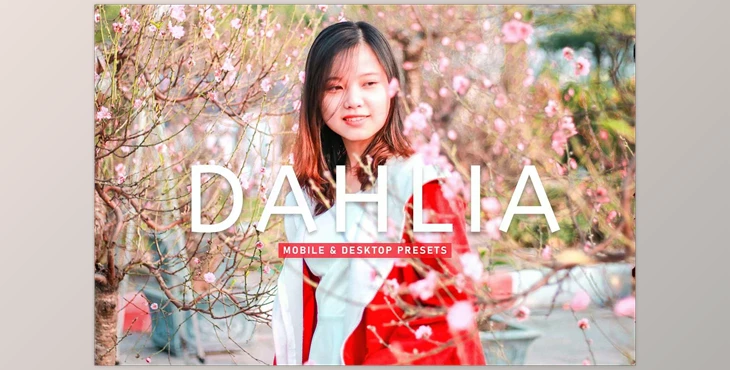 Download Dahlia Pro Lightroom Presets CreativeMarket - 6929653