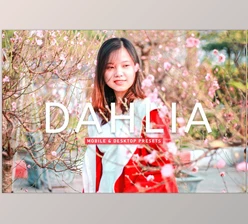 Download Dahlia Pro Lightroom Presets CreativeMarket - 6929653