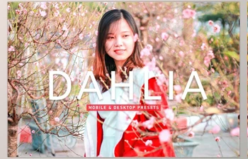 Download Dahlia <span class='badge badge-warning'>Pro</span> <span class='badge badge-warning'>Lightroom</span> <span class='badge badge-warning'>Presets</span> CreativeMarket - 6929653