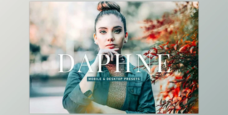 Download Daphne Pro Lightroom Presets CreativeMarket - 6929655