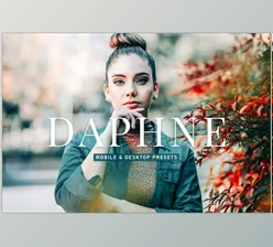 Download Daphne Pro Lightroom Presets CreativeMarket - 6929655