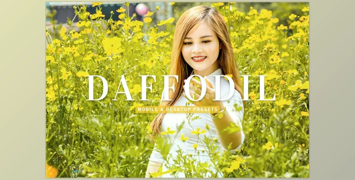 Download Daffodil Pro Lightroom Presets CreativeMarket - 6929650