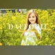 Download Daffodil Pro Lightroom Presets CreativeMarket - 6929650