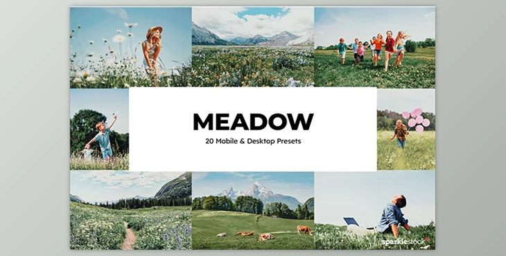 Download 20 Meadow Lightroom Presets GraphicRiver - 35530813