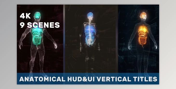 Download Anatomical Vertical HUD UI Titles (Videohive 36051112) - AE Project