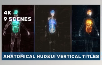 Download Anatomical Vertical <span class='badge badge-warning'>HUD</span> <span class='badge badge-warning'>UI</span> Titles (<span class='badge badge-warning'>Videohive</span> 36051112) - AE <span class='badge badge-warning'>Project</span>