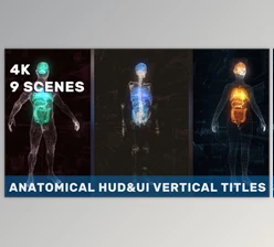 Download Anatomical Vertical HUD UI Titles (Videohive 36051112) - AE Project