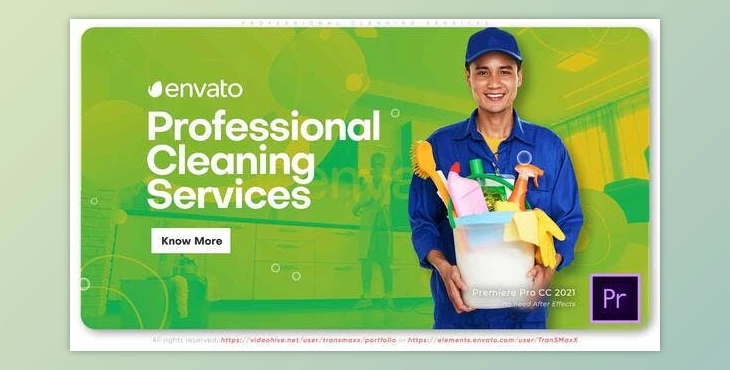 Download Professional Cleaning Services Promo (Videohive 35987732)