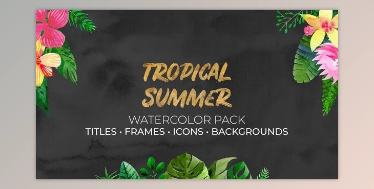 Download Tropical Summer. Watercolor Pack (Videohive 36049583) - AE Project