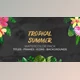 Download Tropical Summer. Watercolor Pack (Videohive 36049583) - AE Project