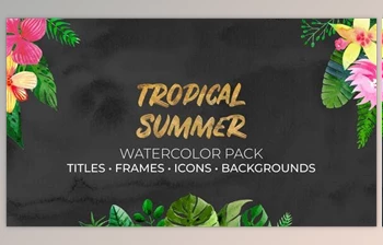 Download <span class='badge badge-warning'>Tropical</span> Summer. Watercolor Pack (Videohive 36049583) - AE Project