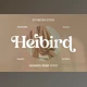 Download Heibird Serif Font Creativemarket 6975933