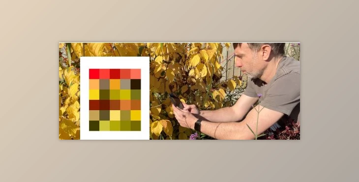 Download Finding Colour Palettes in Nature using Procreate