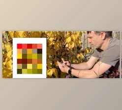 Download Finding Colour Palettes in Nature using Procreate