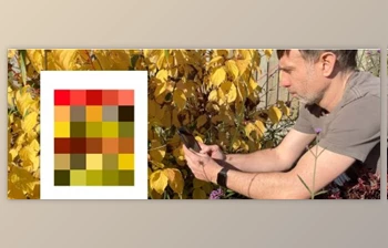 Download Finding Colour Palettes in Nature <span class='badge badge-warning'>using</span> Procreate