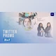 Download Twitter Promo 3 in 1 (Videohive 35520070)