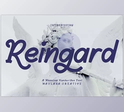 Download Reingard Display Font CreativeMarket 6985469