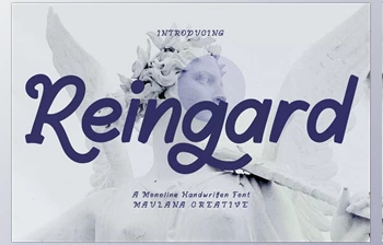 Download Reingard <span class='badge badge-warning'>Display</span> <span class='badge badge-warning'>Font</span> CreativeMarket 6985469