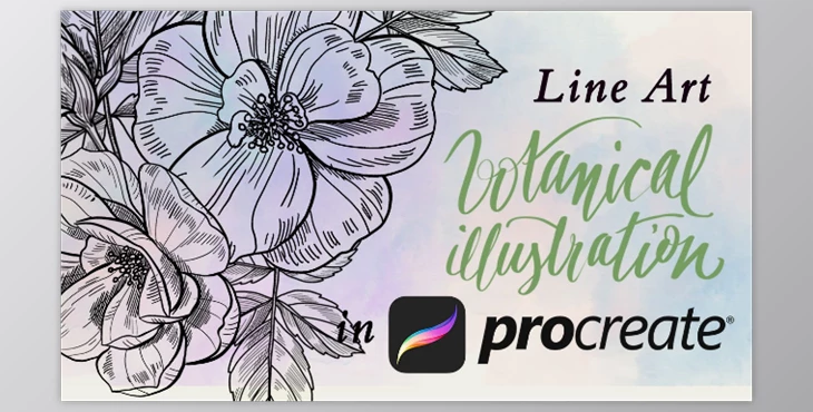 Download Botanical Illustration – Line Art in Procreate