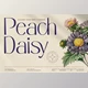 Download Peach Daisy Sans Serif Font CreativeMarket 6928251