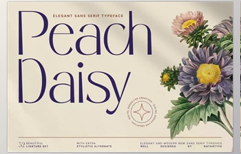 Download Peach Daisy Sans Serif <span class='badge badge-warning'>Font</span> CreativeMarket 6928251