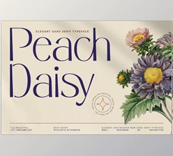 Download Peach Daisy Sans Serif Font CreativeMarket 6928251