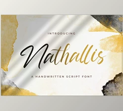 Download Nathallis – Handwritten Font CreativeMarket 5914289