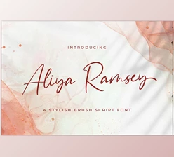Download Aliya Ramsey – Handwritten Font Creativemarket 5914317