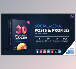 Download Social Media Posts & Profiles (Videohive 35497768) - AE Project