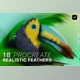 Download Procreate Realistic Feather Brushes – CreativeMarket 6802309
