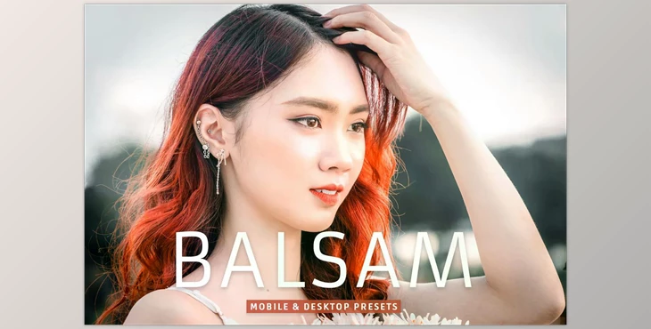 Download Balsam Pro Lightroom Presets CreativeMarket - 7003213