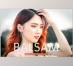 Download Balsam Pro Lightroom Presets CreativeMarket - 7003213