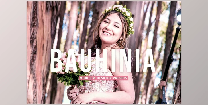 Download Bauhinia Pro Lightroom Presets CreativeMarket - 7003225