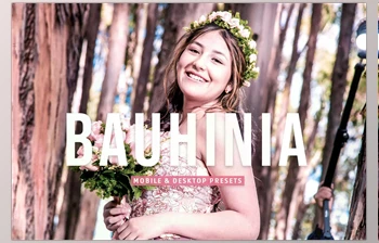 Download Bauhinia <span class='badge badge-warning'>Pro</span> <span class='badge badge-warning'>Lightroom</span> <span class='badge badge-warning'>Presets</span> CreativeMarket - 7003225